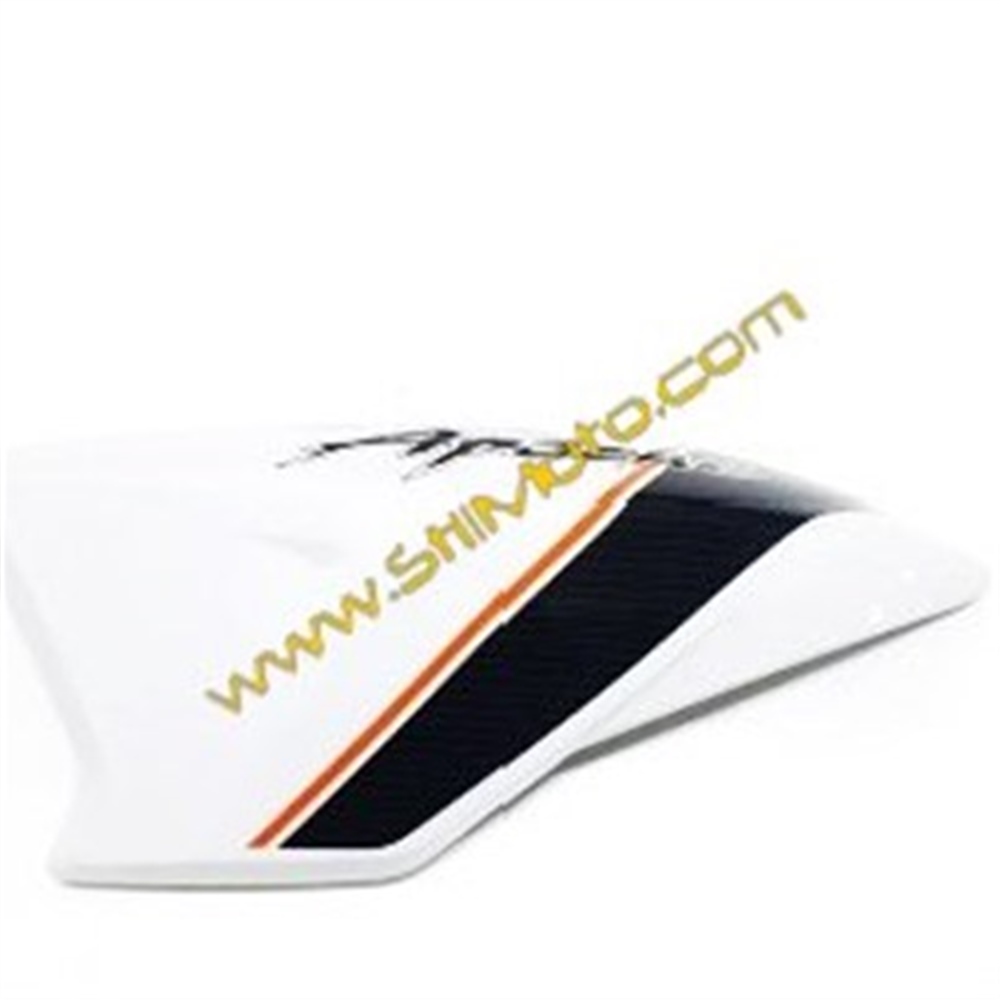 TVS APACHE RTR DEPO YAN RÜZGARLIK L
