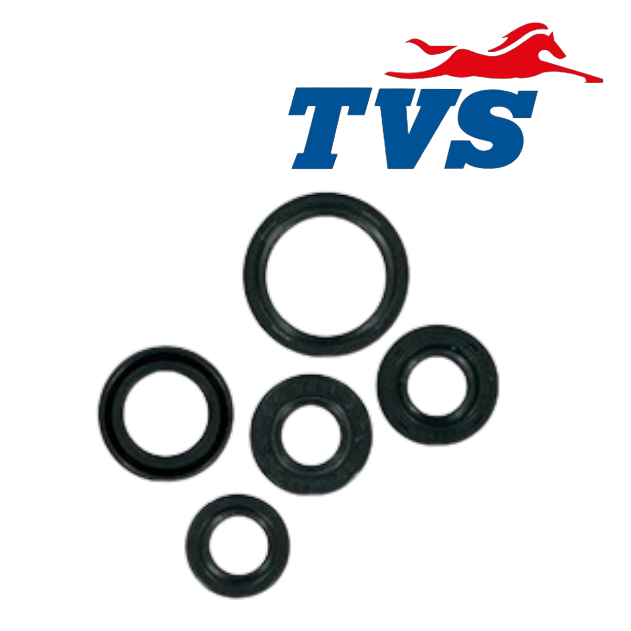 TVS JUPİTER 125 KEÇE TAKIMI