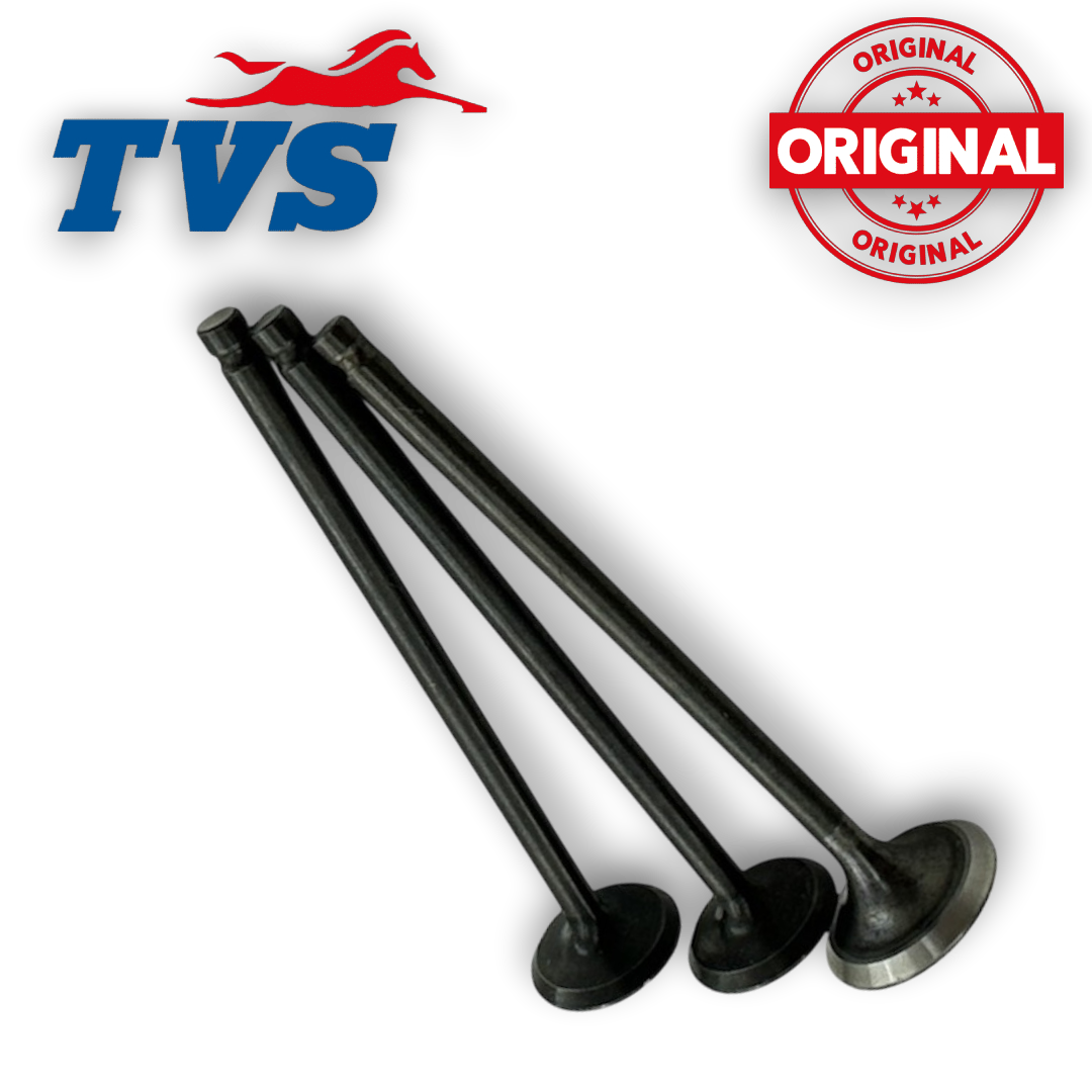TVS RAİDER 125 SUBAP TAKIMI ORJİNAL