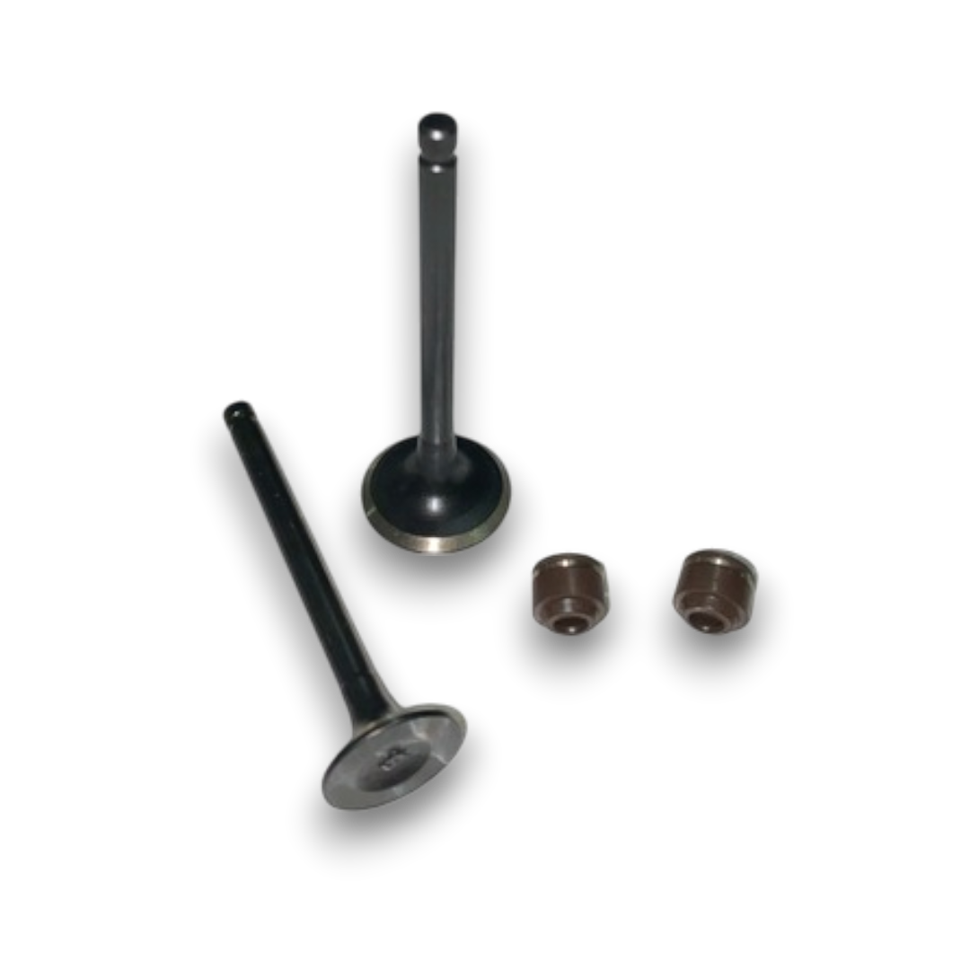 TVS WEGO SUBAP TK+KEÇE [ JUPİTER 110 APACHE 150 ]