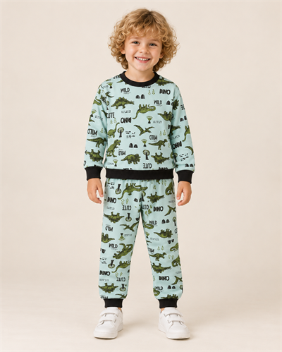Erkek Çocuk Dinozor Desenli Ribanalı İkili Pijama Takımı