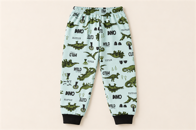 Erkek Çocuk Dinozor Desenli Ribanalı İkili Pijama Takımı