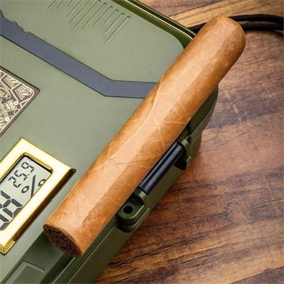 Lubinski Yeni Stil Nem Göstergeli Seyahat Puro Kutusu Humidor Kırılmaz Plastik Yeşil 12s
