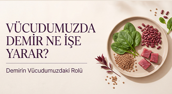 Vücudumuzda Demir Ne İşe Yarar?