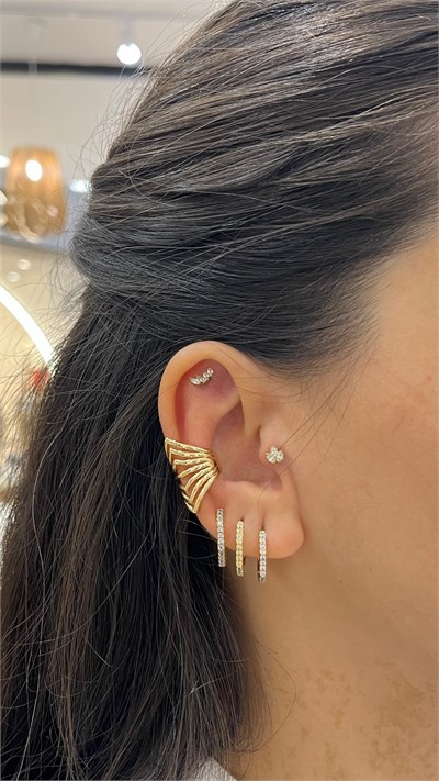 Sıralı Gold Kıkırdak Küpe