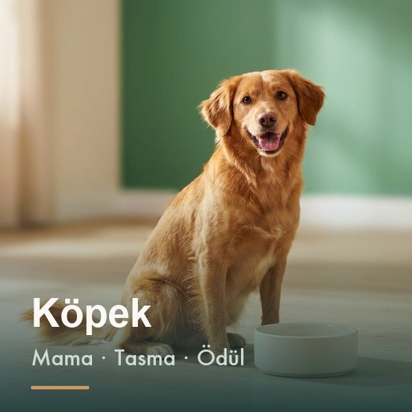 Köpek ürünleri kategorisi