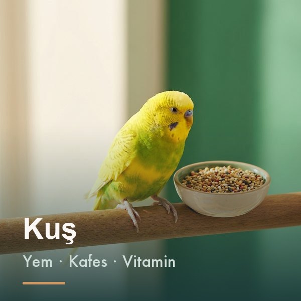 Kuş ürünleri kategorisi