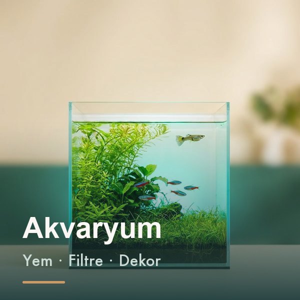 Akvaryum ürünleri kategorisi