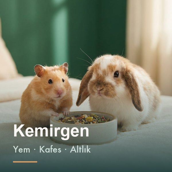 Kemirgen ürünleri kategorisi