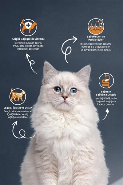 Reflex 2 kg Somonlu Kısırlaştırılmış Kedi Maması