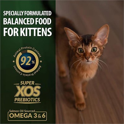 Reflex Plus Kitten Tavuklu Yavru Özel 15 kg Kedi Maması