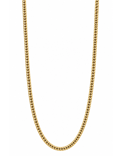 Balık Sırtı Zincir (2 mm)