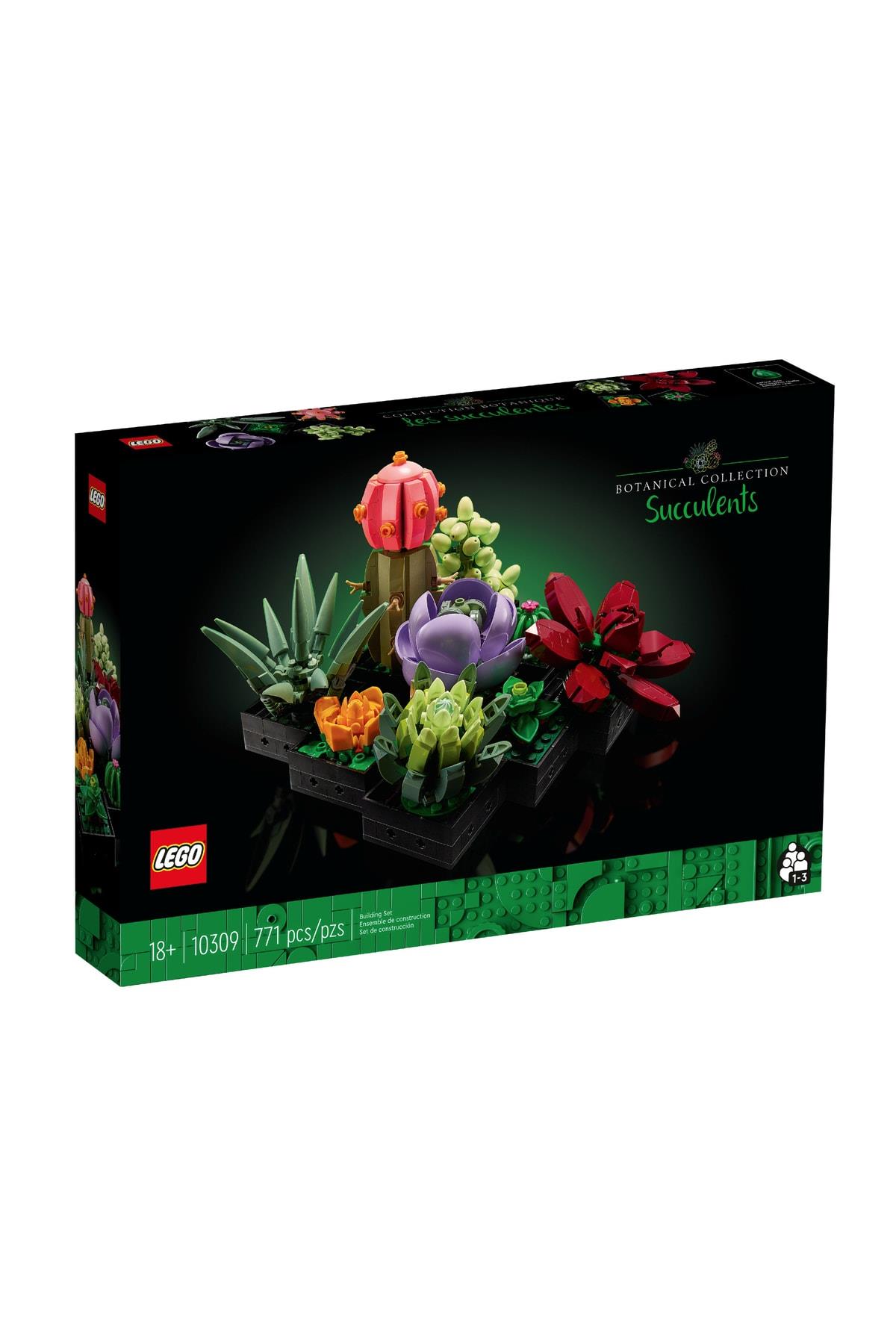 Creator Sukulentler/ Succulents 10309
