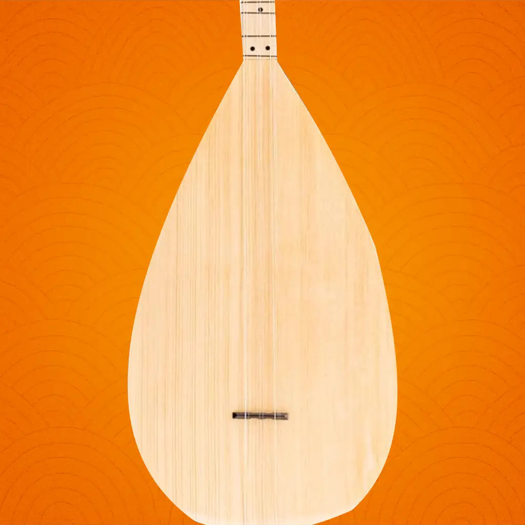 BAĞLAMA TELLERİ