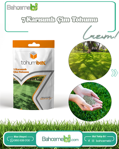 Çim Tohumu 7 Mix Grass Karışımı - 1 kg TohumBox