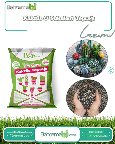 Kaktüs Özel Toprağı 3 Litre Bsr Garden
