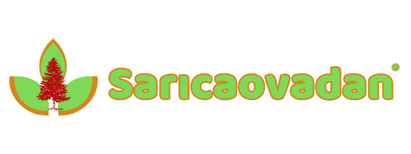 Sarıcaovadan