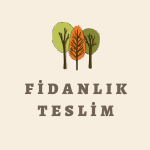 Mağaza Teslim