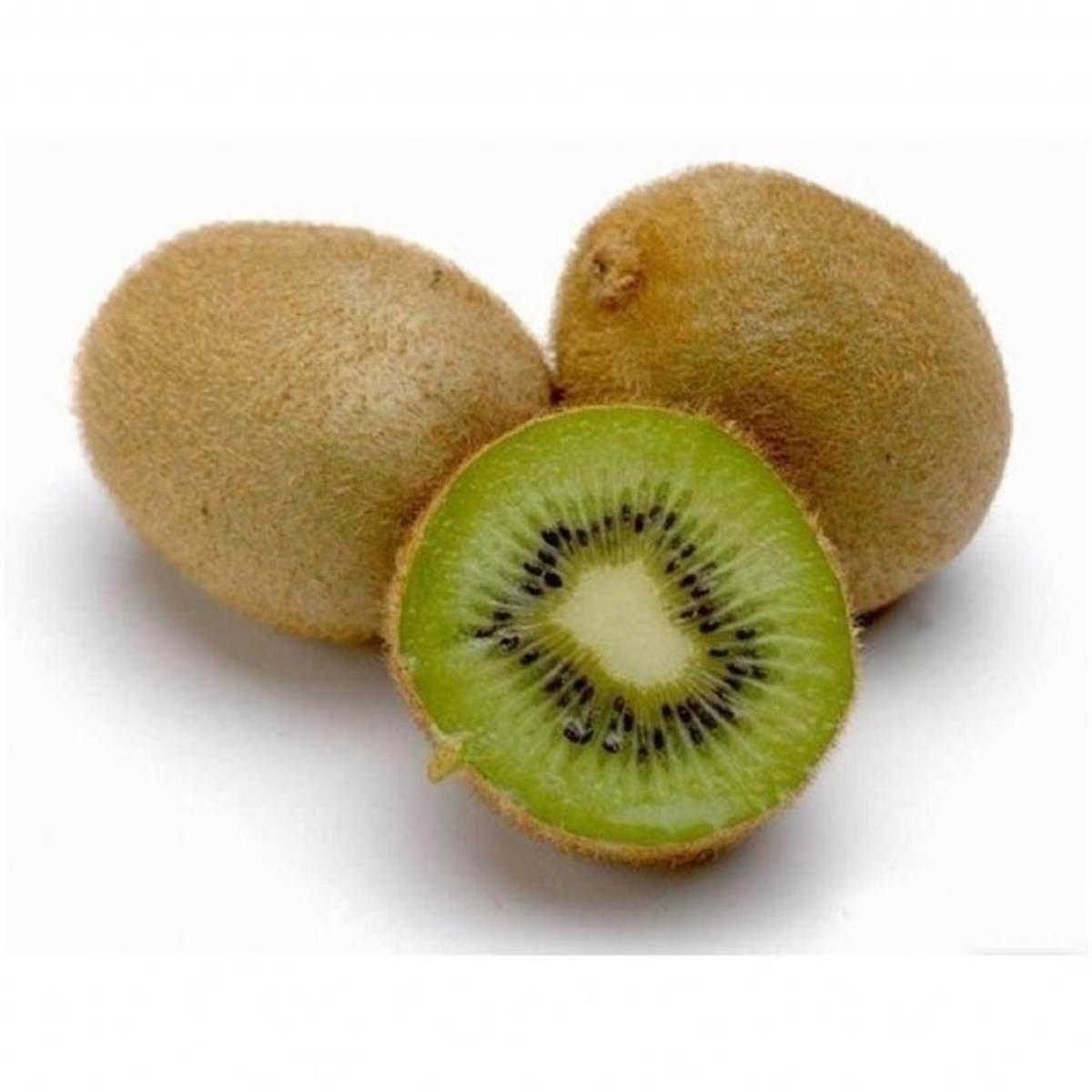 Actinidia deliciosa Hayward Dişi Kivi fidanı