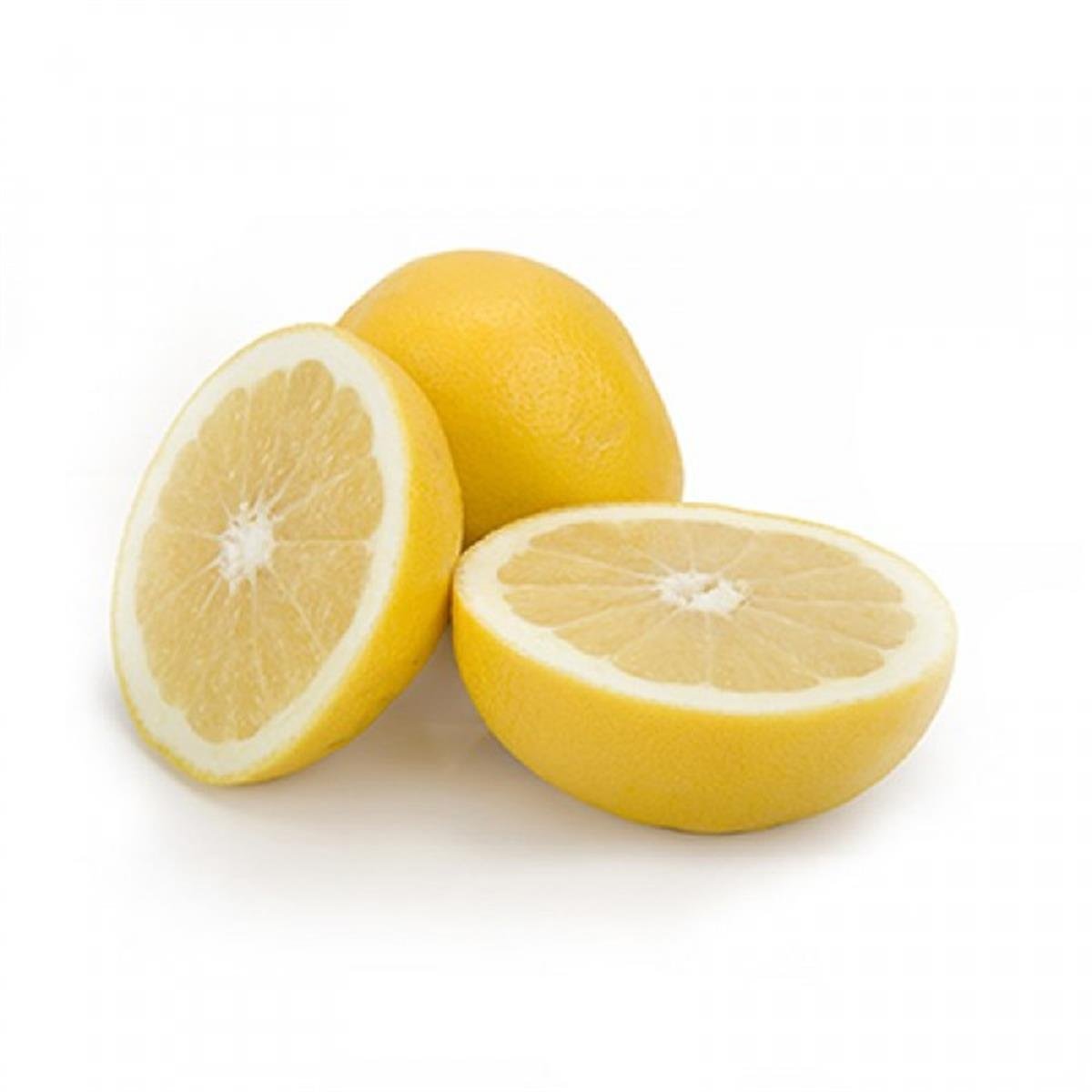 Citrus paradisi Greyfurt fidanı Altıntop