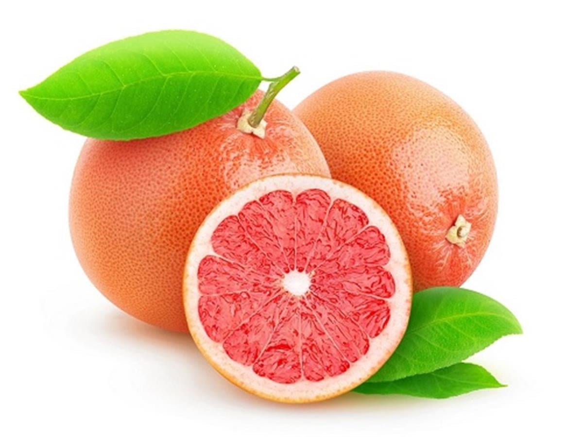 Citrus paradisi Kanlı Greyfurt fidanı