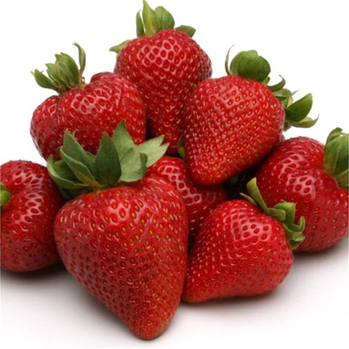 Fragaria x ananassa San Andreas yediveren çilek