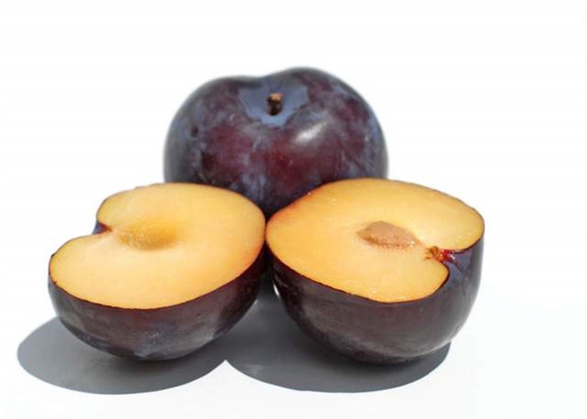 Prunus domestica Angelino Erik Anjelika Erik fidanı