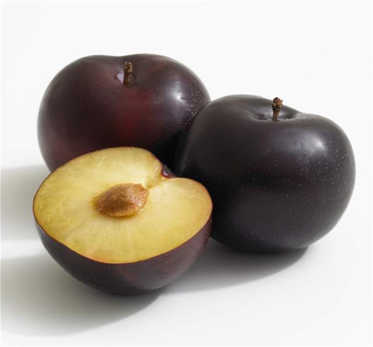 Prunus domestica Friar Erik fidanı