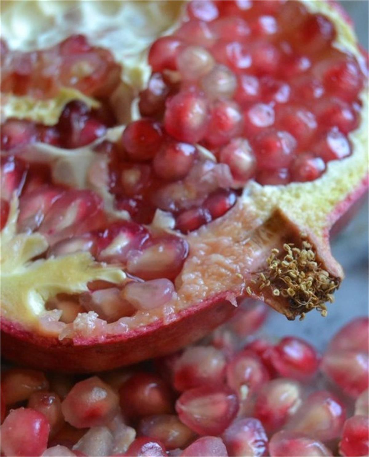 Punica granatum Çekirdeksiz Nar fidanı