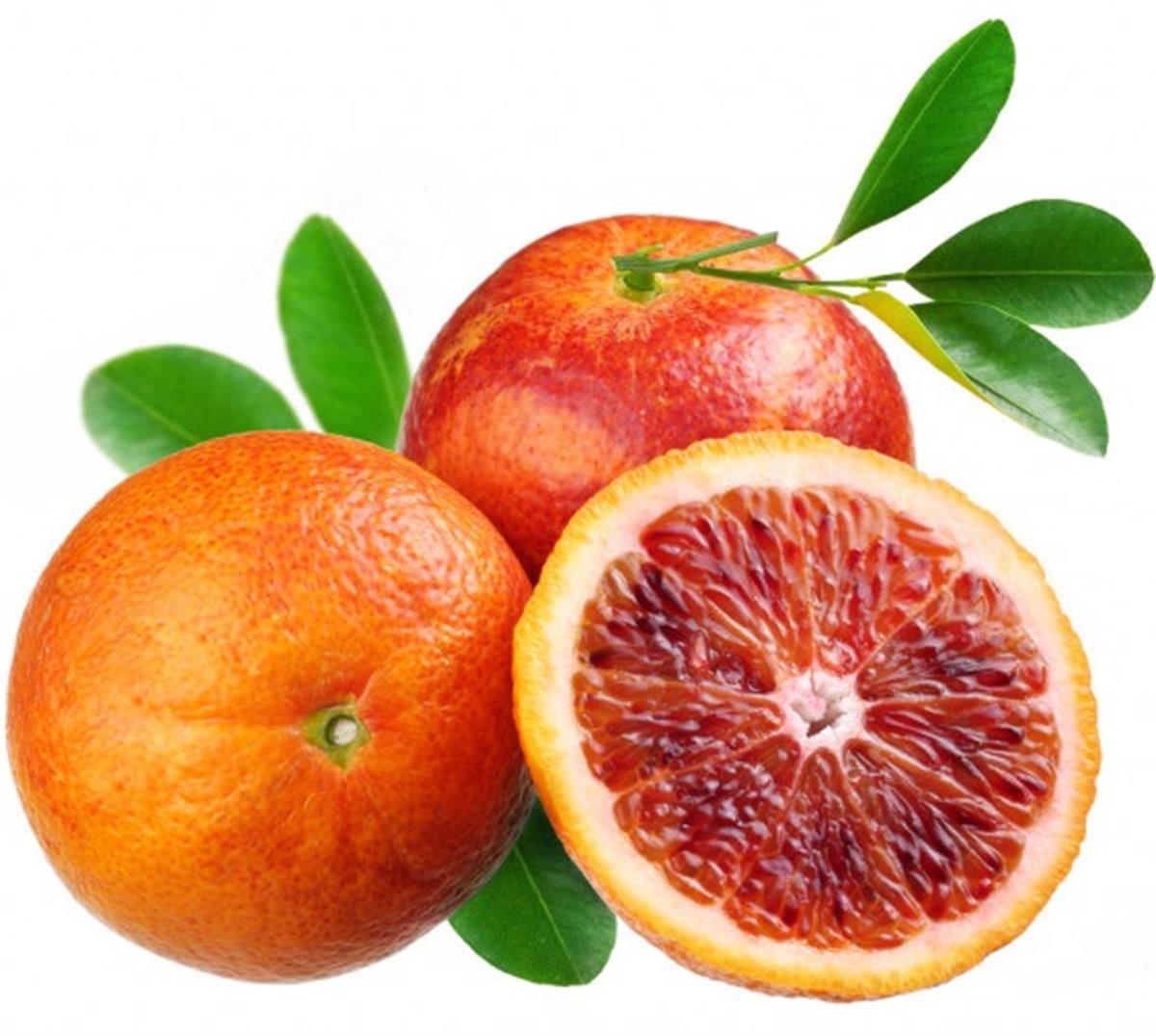 Citrus sinensis Kanlı Yafa Portakal fidanı