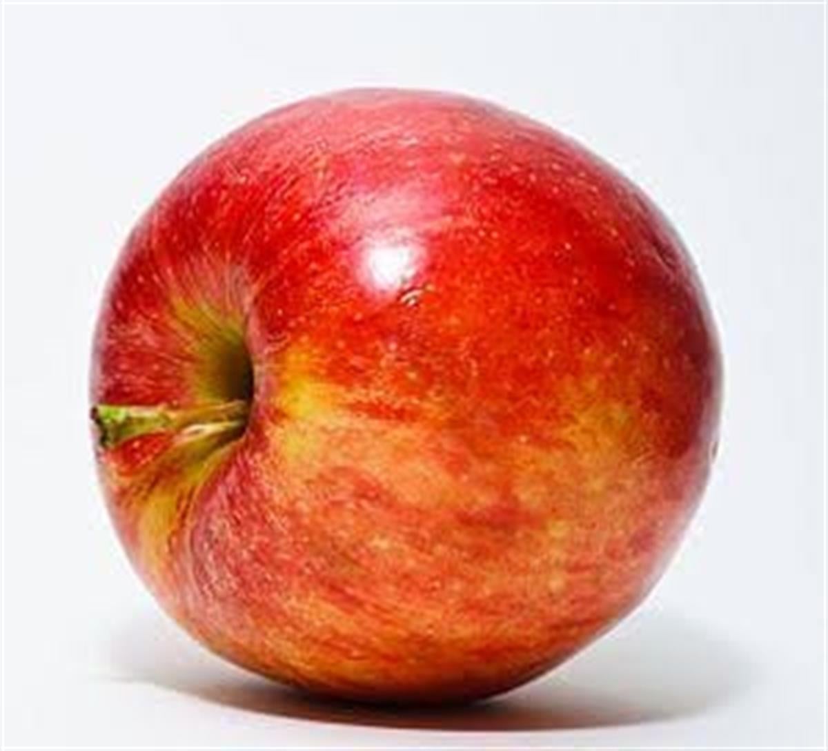 Malus domestica Demir Elma fidanı