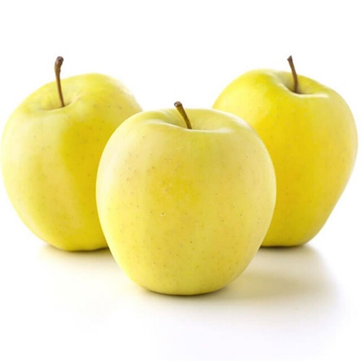 Malus domestica Golden goldchief Elma fidanı