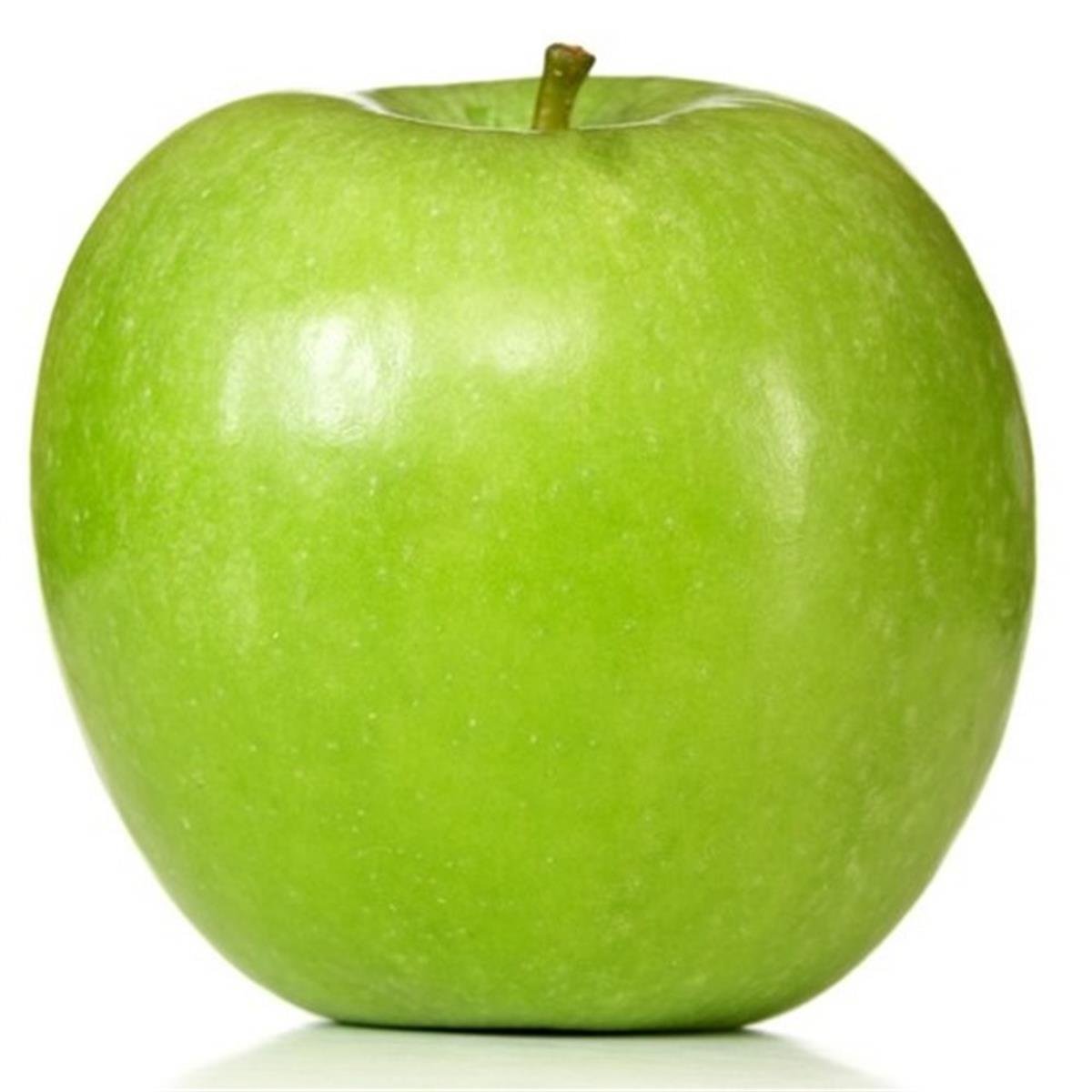 Malus domestica Granny smith Elma fidanı