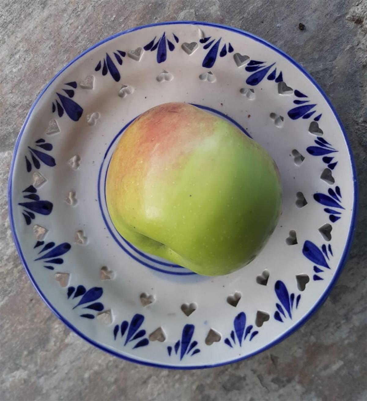 Malus domestica Hacı Sadık Elma fidanı