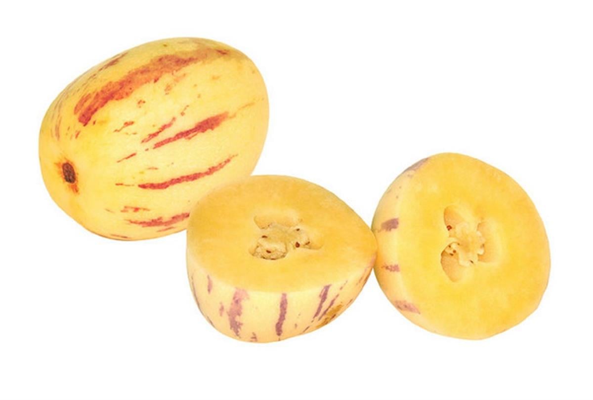 Solanum muricatum PEPİNO fidanı