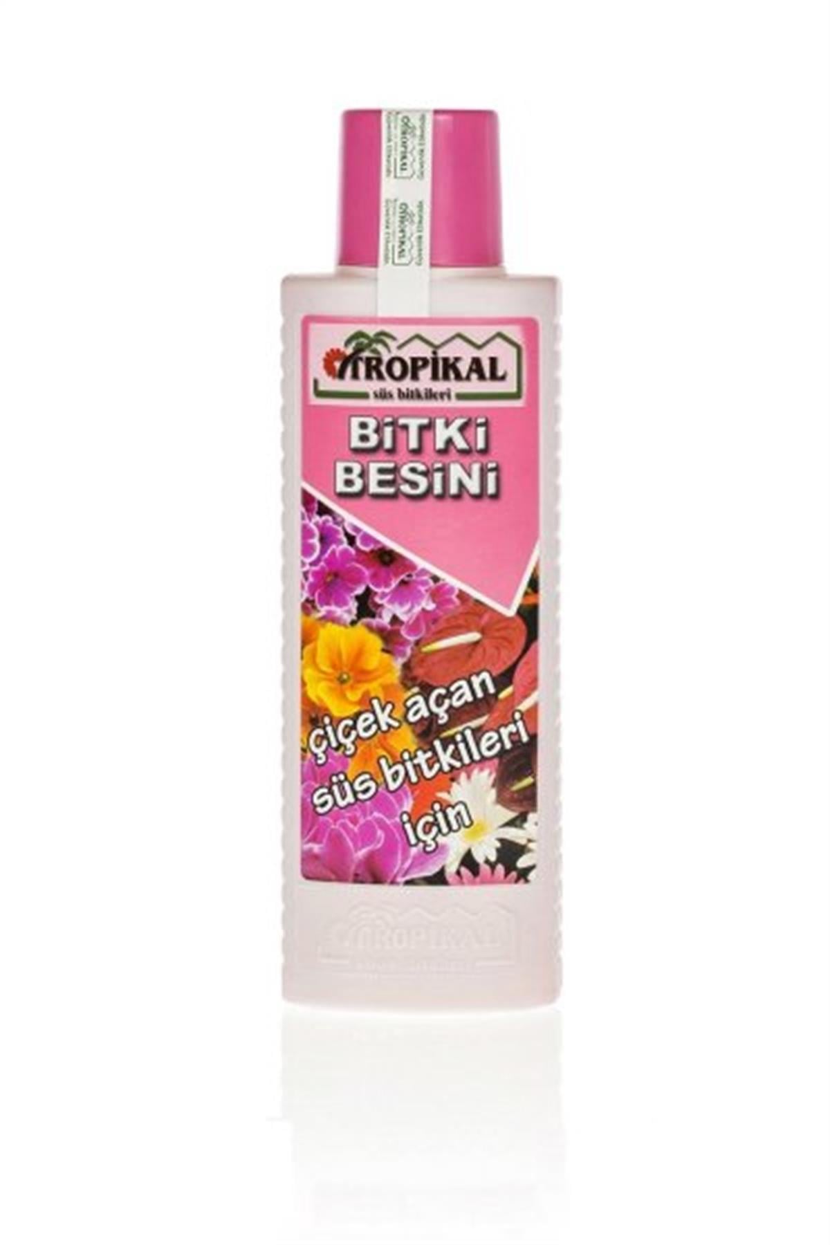 TROPİKAL Çiçek Açan Süs Bitkileri İçin Bitki Besini