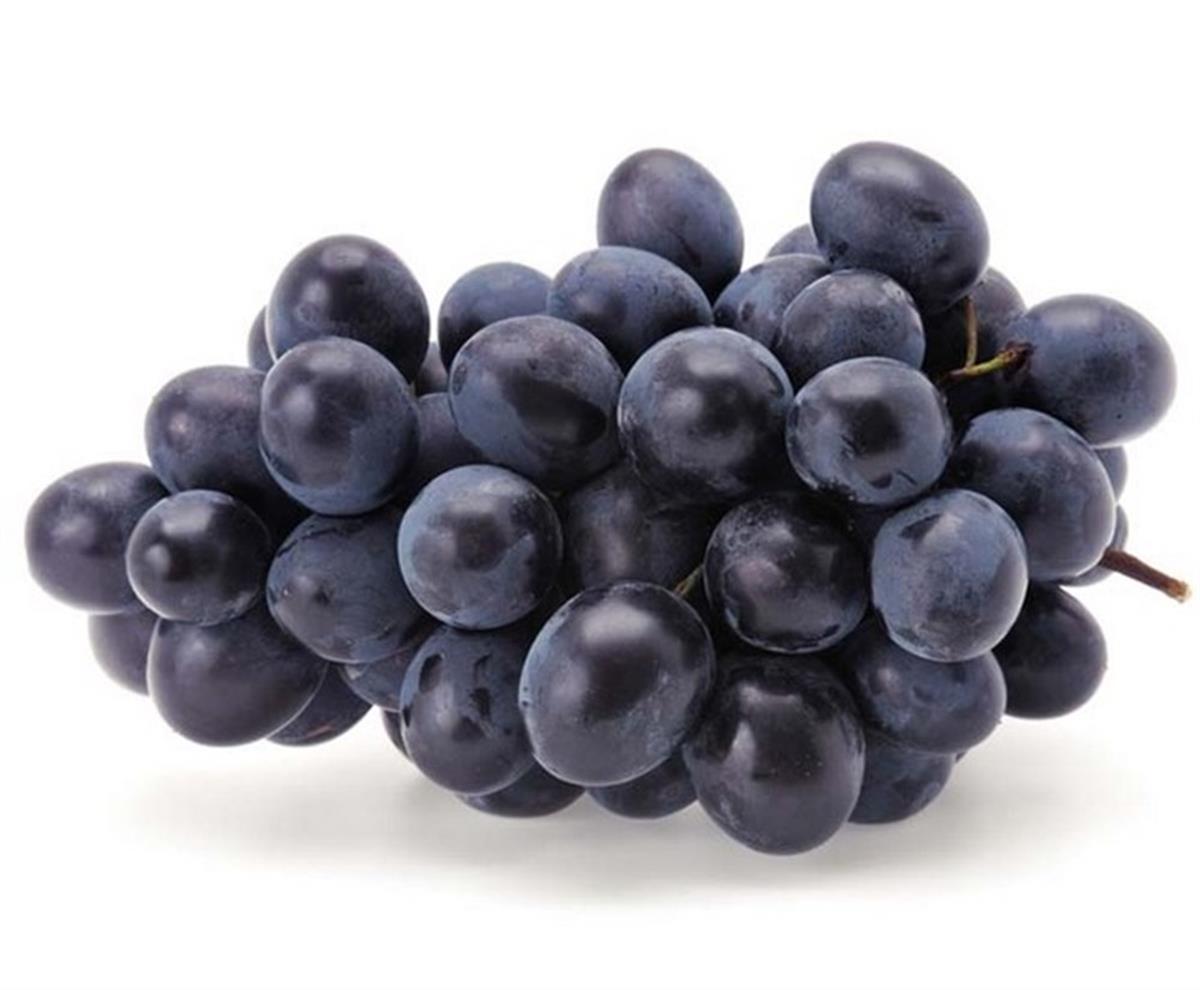 Vitis vinifera Royal Asma fidanı
