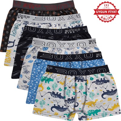 BOXXO DESENLİ LİKRALI ERKEK ÇOCUK BOXER