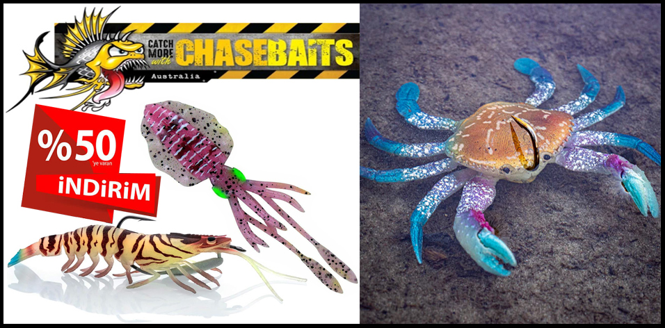 Chasebaits