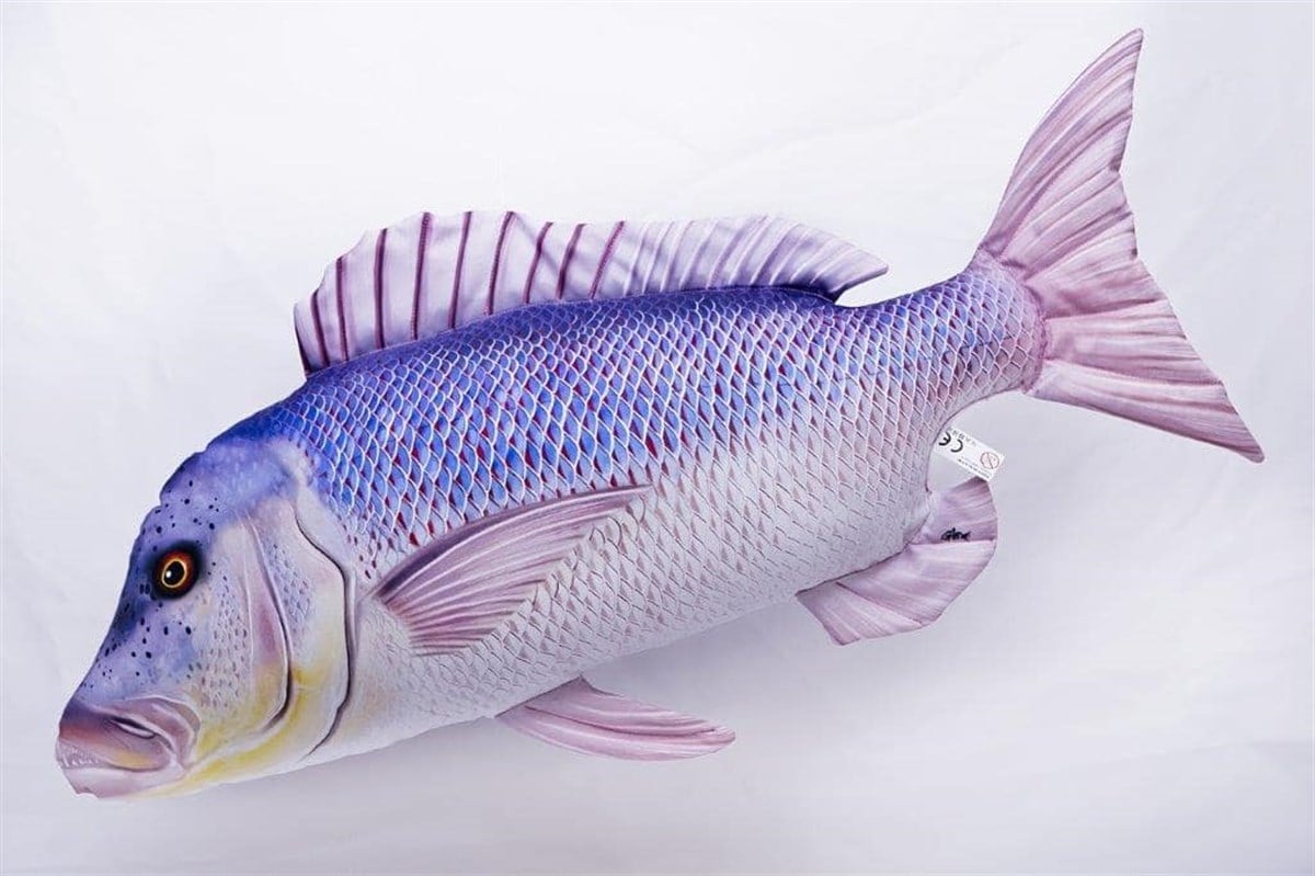 GABY FISH DENTEX DENTEX 43cm