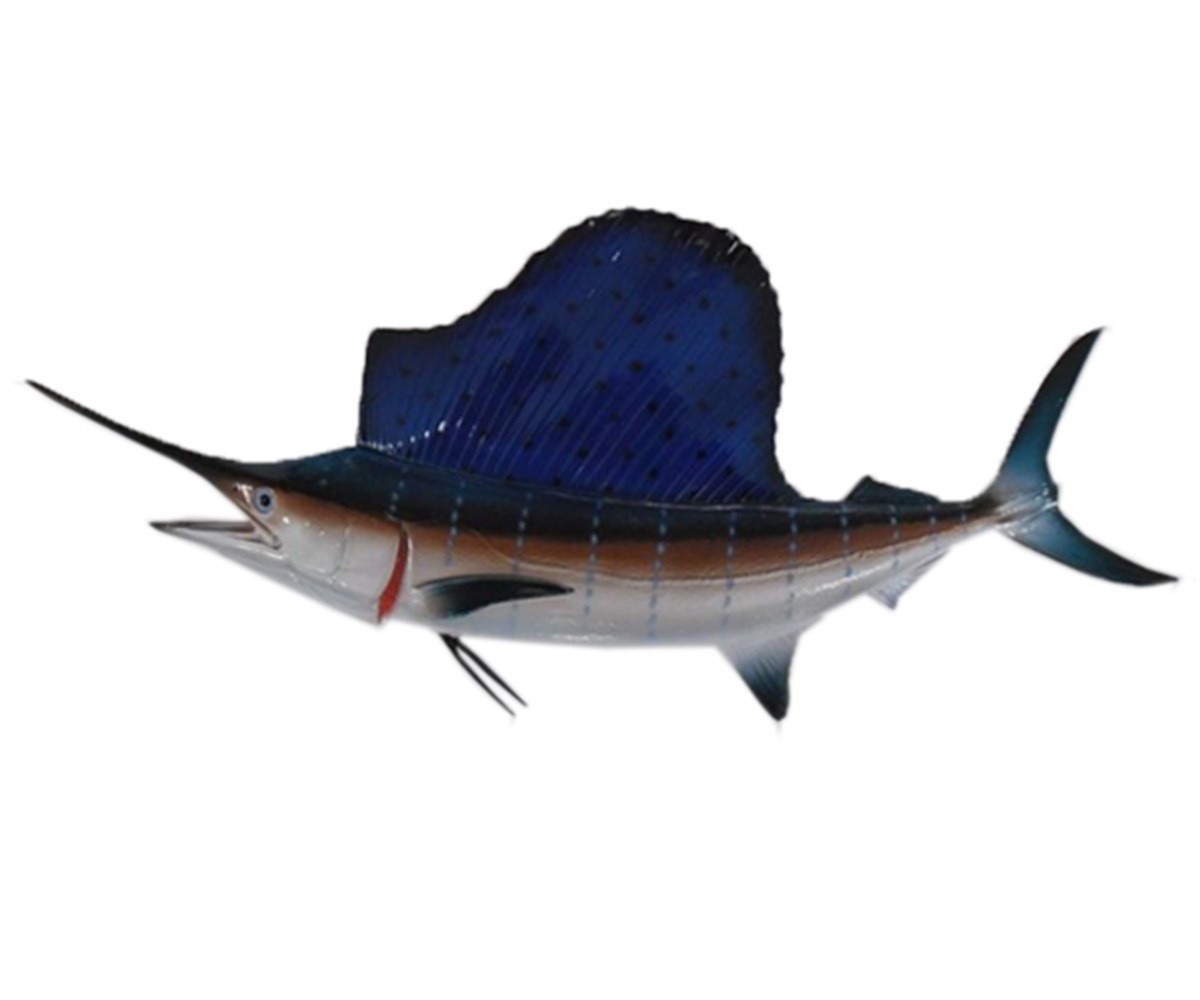 SAILFISH LG - YELKEN BALIĞI (Biblo Balık)