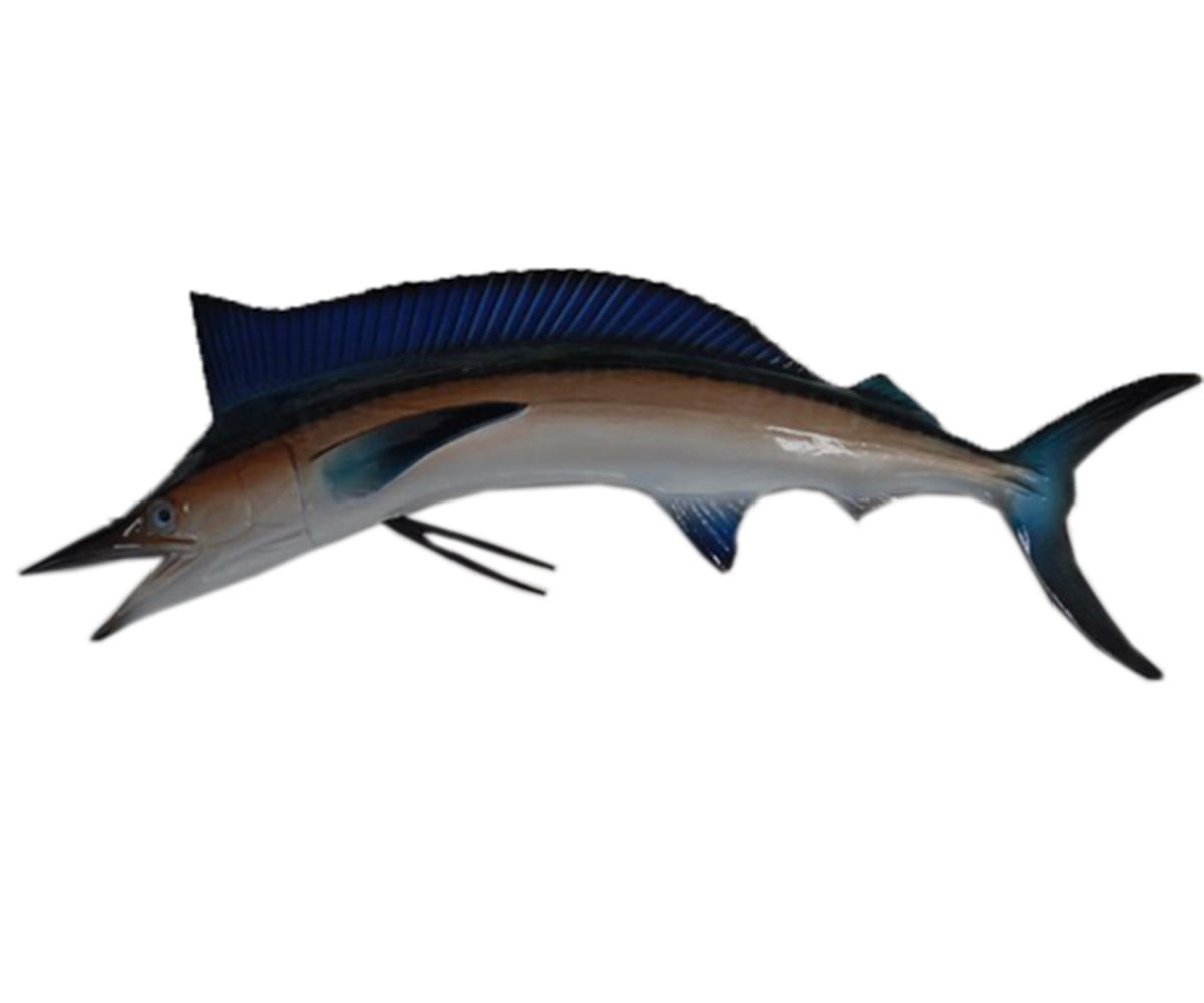 SPEAR FISH - ZARGANA AZMANI (Biblo Balık)