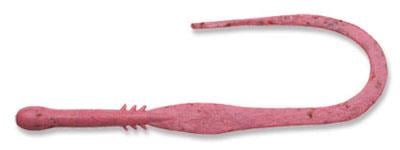 ECOGEAR Aqua Tairaba Kuwase Curly Slim J10 19255