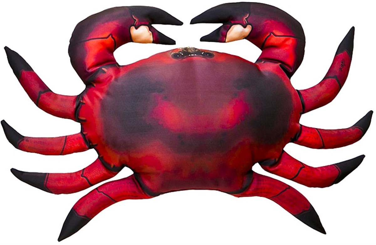 GABY FISH COMMON CANCER PAGARUS 60cm