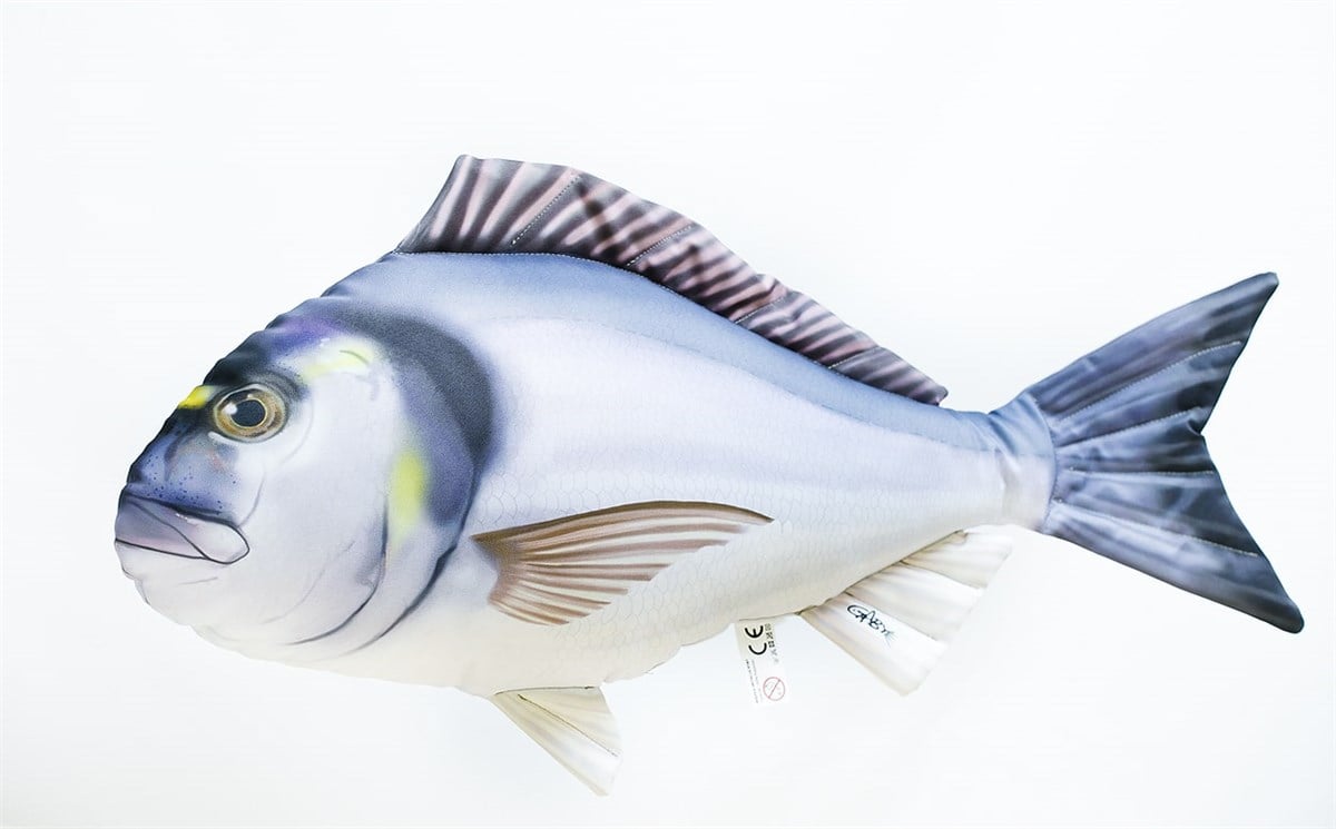 GABY FISH GILTHEAD SEA BREAM SPARUS AURATA 60cm
