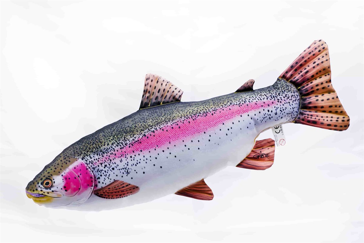 GABY FISH ONCORHYNCHUS MYKISS 62cm