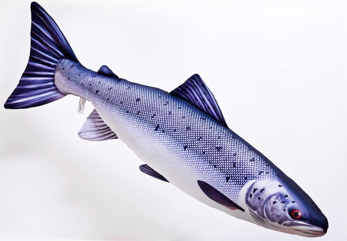 GABY FISH SALMO SALAR 90cm