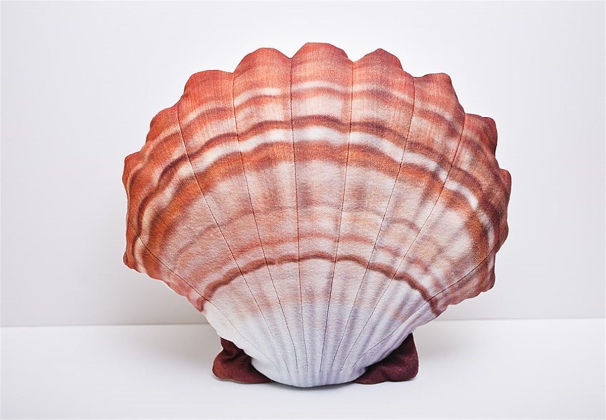GABY FISH SCALLOP PECTEN MAXIMUS ORANGE 45cm