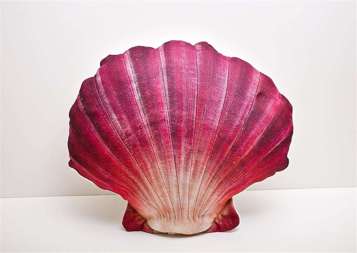 GABY FISH SCALLOP PECTEN MAXIMUS RED 45cm