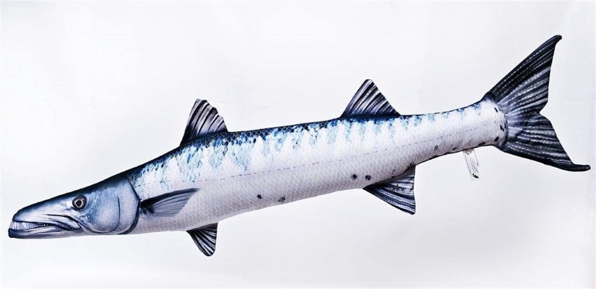 GABY FISH SPHYRAENA BARRACUDA 110cm